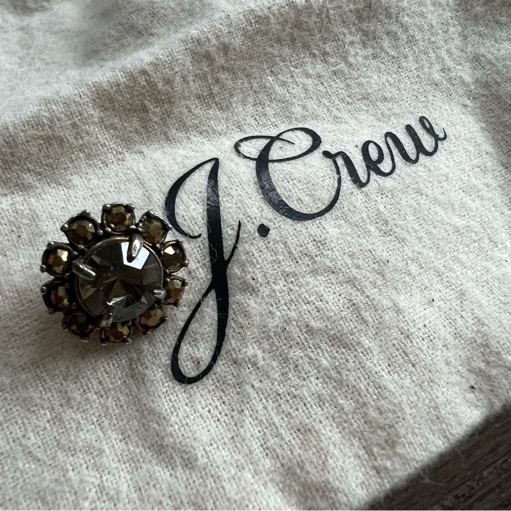 J. Crew Gold Gem Tassel Necklace & Stud Rhinestone Earring Set